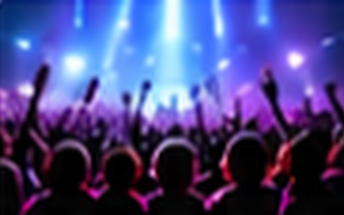 Concert crowd
